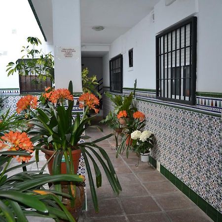 Nuevo Sueno Del Alcazar Apartment Кордоба Екстериор снимка