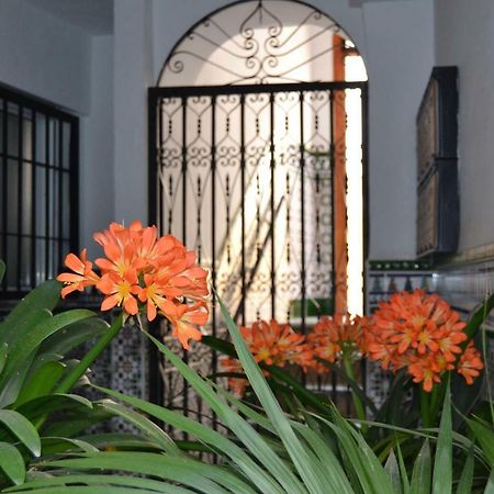 Nuevo Sueno Del Alcazar Apartment Кордоба Екстериор снимка