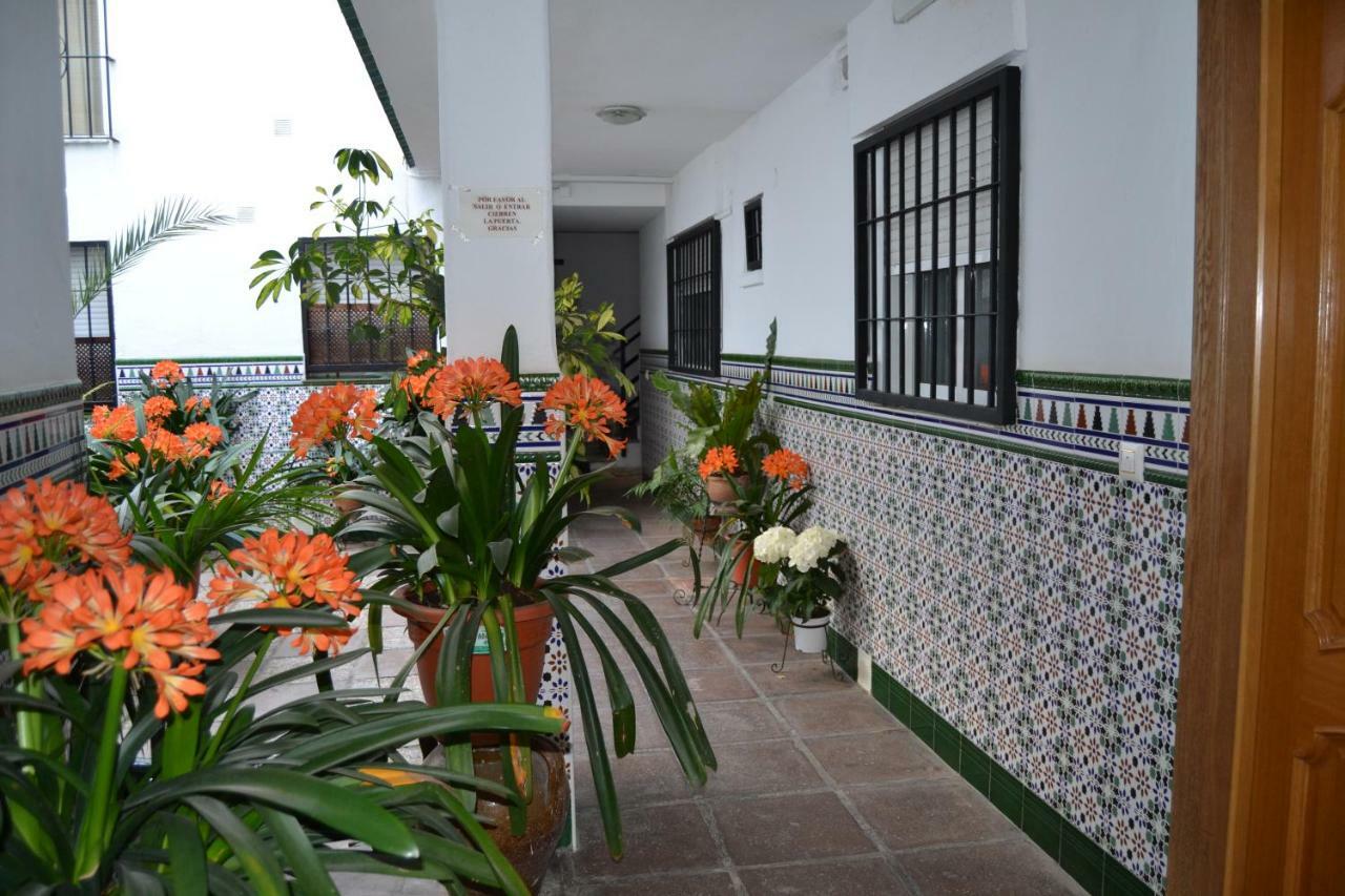 Nuevo Sueno Del Alcazar Apartment Кордоба Екстериор снимка